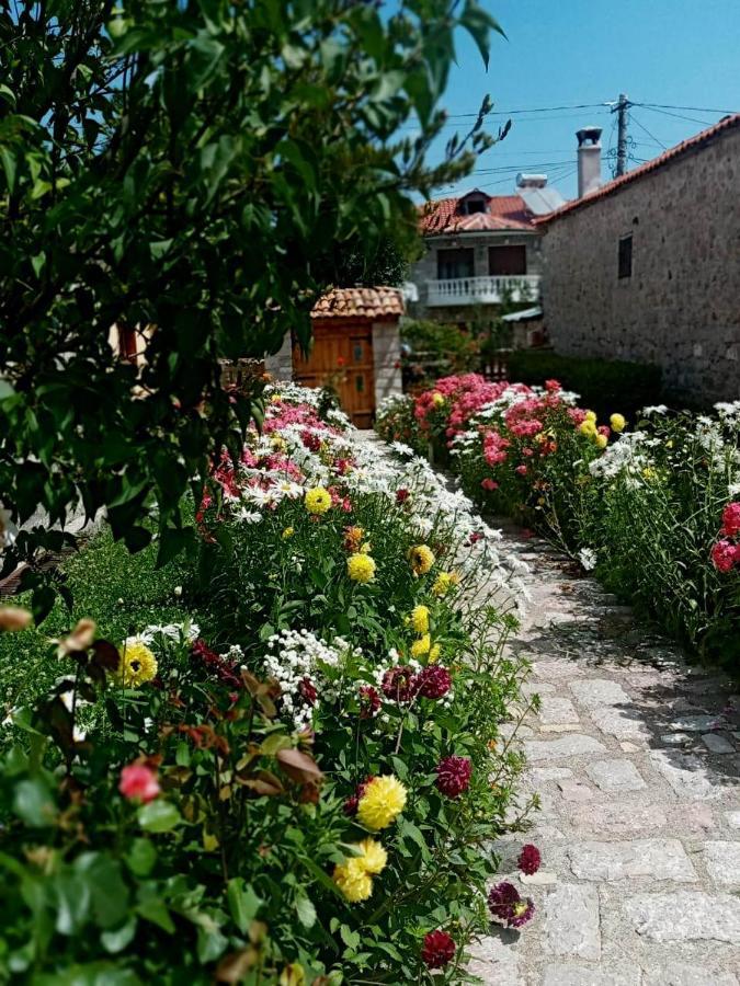 Bujtina Shkodrani Bed and Breakfast Voskopojë Buitenkant foto