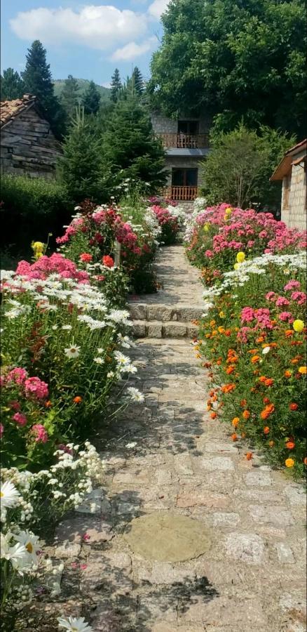 Bujtina Shkodrani Bed and Breakfast Voskopojë Buitenkant foto